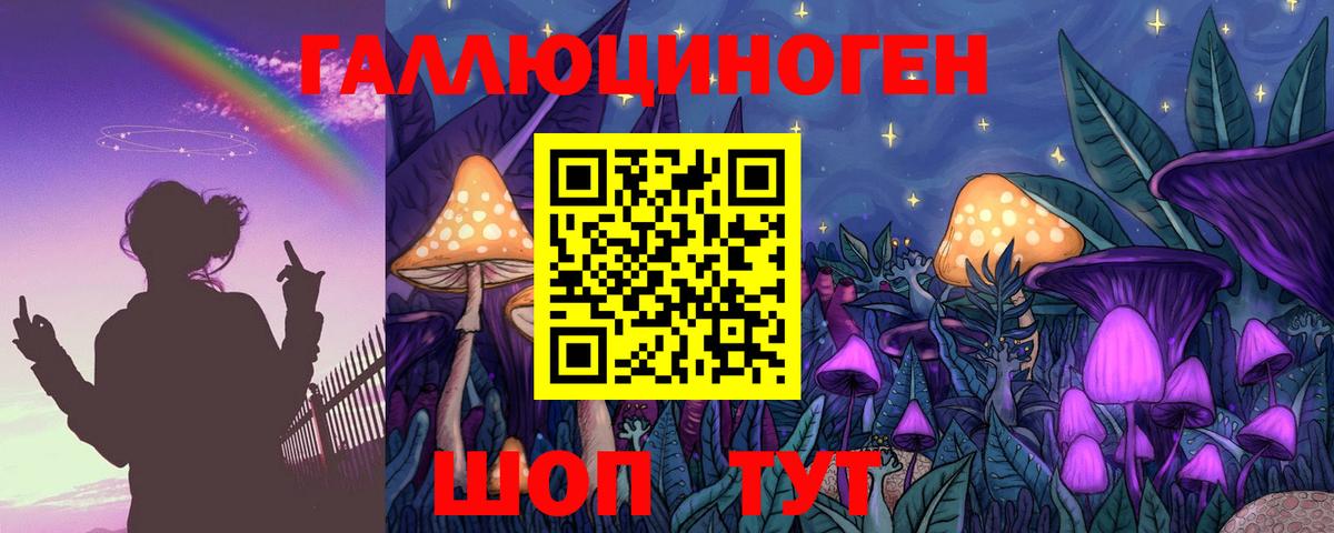 Галлюциногенные грибы GOLDEN TEACHER  Вход с VPN  Борзя 